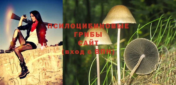 дурь Абаза