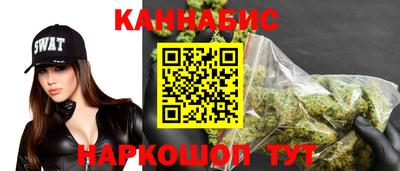 мяу мяу мука Гай