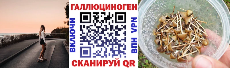 Псилоцибиновые грибы прущие грибы  Таганрог 